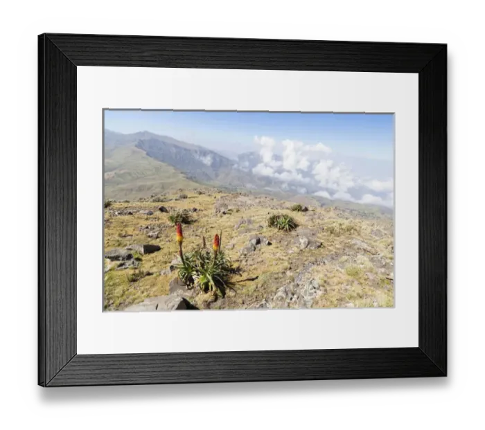 Framed Print : Landscape in the Semien Mountains National Park, Ethiopia Framed Print : Landscape in the Semien Mountains National Park, Ethiopia