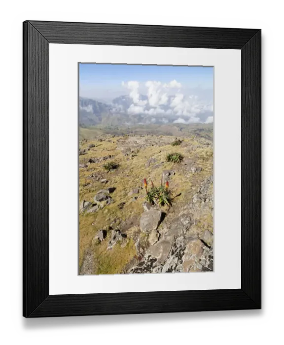 Framed Print : Landscape in the Semien Mountains National Park, Ethiopia Framed Print : Landscape in the Semien Mountains National Park, Ethiopia