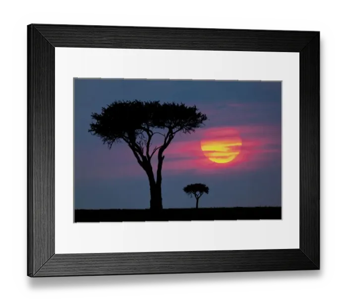 Framed Print : Trees on plains of Masai Mara, Kenya, Africa Framed Print : Trees on plains of Masai Mara, Kenya, Africa