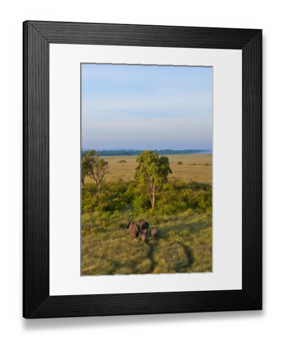 Framed Print : Kenya Masai Mara Africa hot air ballooning over the Masai Mara National Park Framed Print : Kenya Masai Mara Africa hot air ballooning over the Masai Mara National Park
