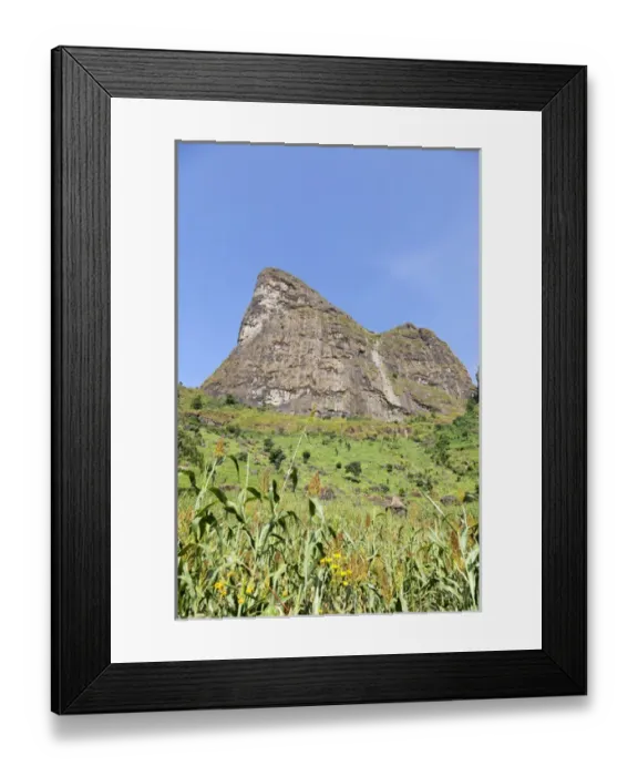 Framed Print : Millet in the Highlands of Ethiopia Framed Print : Millet in the Highlands of Ethiopia