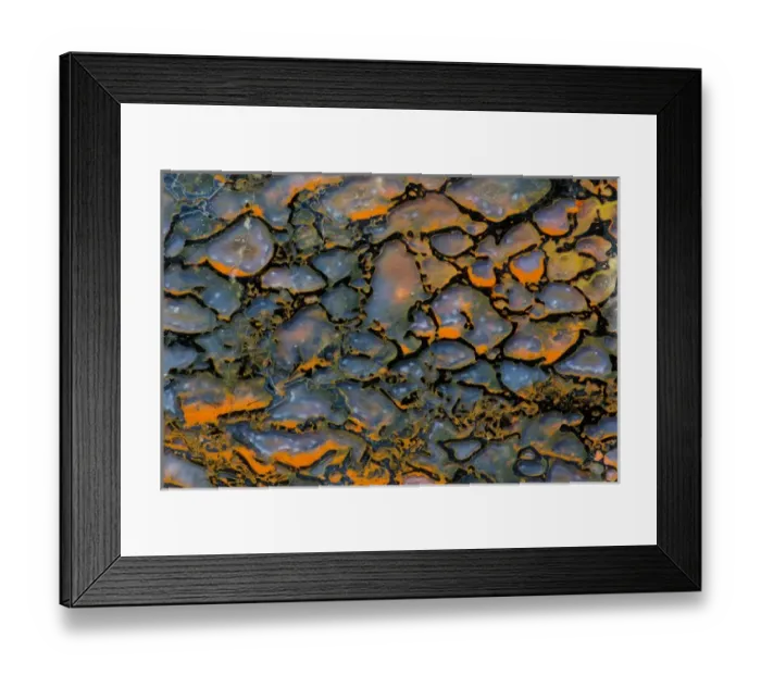Framed Print : Dinosaur Petrified Bone Framed Print : Dinosaur Petrified Bone