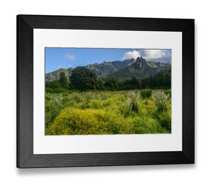 Framed Print : The Harenna Escarpment. Bale Mountains National Park. Ethiopia Framed Print : The Harenna Escarpment. Bale Mountains National Park. Ethiopia