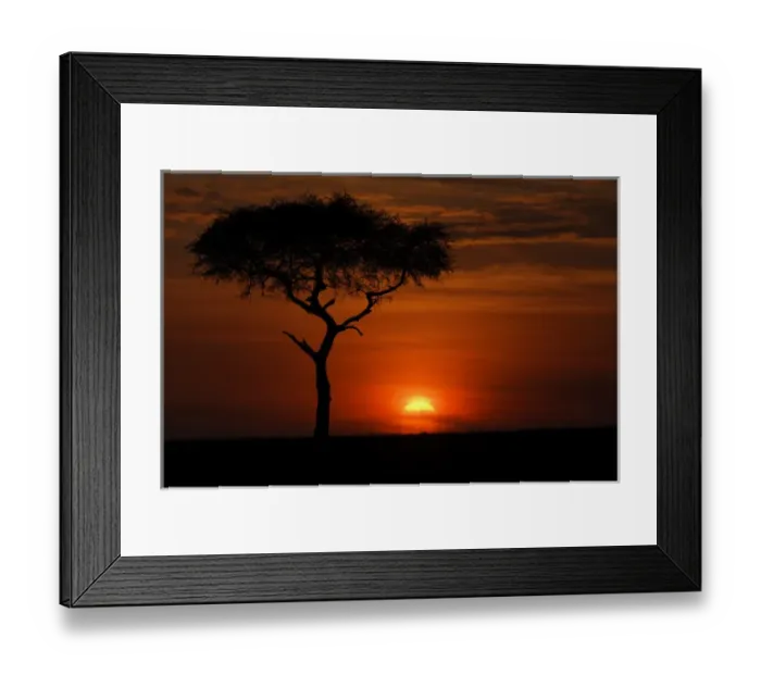 Framed Print : Single tree silhouetted at sunrise, Masai Mara, Kenya, Africa