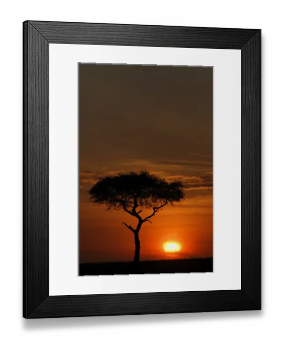 Framed Print : Single tree silhouetted at sunrise, Masai Mara, Kenya, Africa