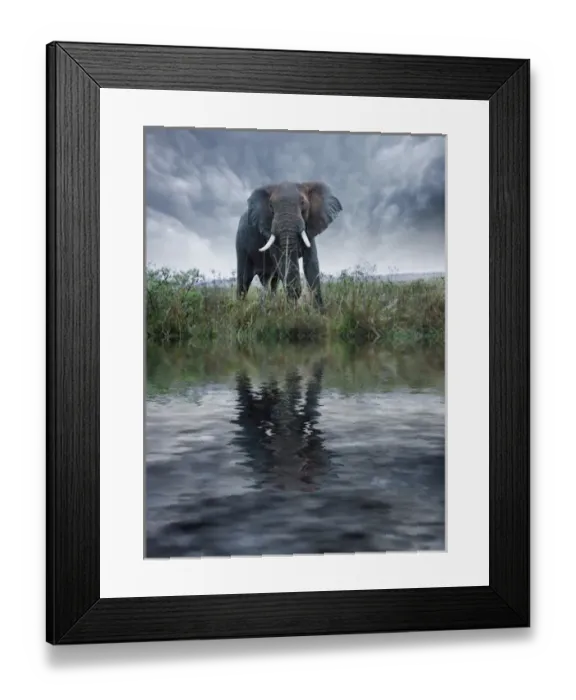 Framed Print : Africa, Kenya, Masai Mara Game Reserve. Composite of elephant reflecting in water