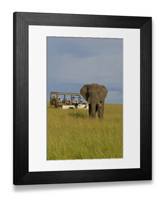 Framed Print : Masai Mara National Park Kenya Africa sunset exciting tourist vehicle real close Framed Print : Masai Mara National Park Kenya Africa sunset exciting tourist vehicle real close