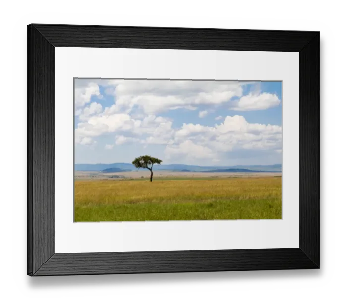 Framed Print : Africa, Kenya, Masai Mara National Reserve. 2016-08-04