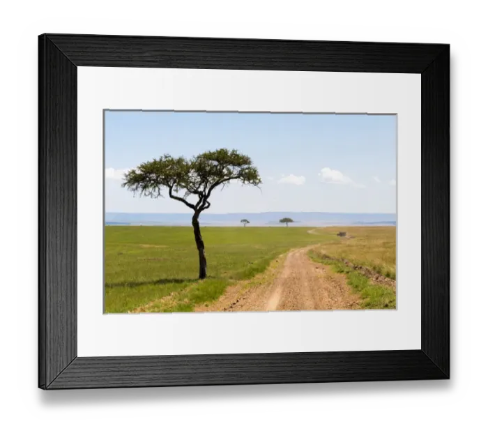 Framed Print : Africa, Kenya, Masai Mara National Reserve. 2016-08-04