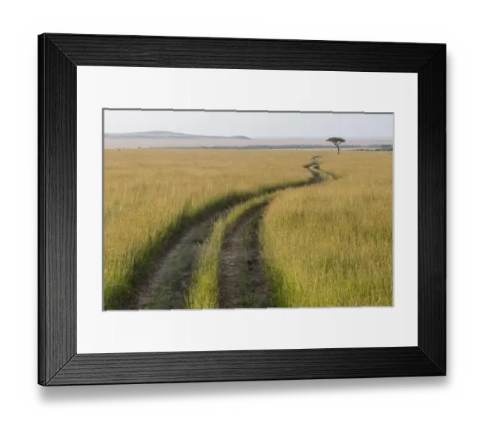 Framed Print : Africa, Kenya, Masai Mara National Reserve. Savannah with tire tracks. 2016-08-04 Framed Print : Africa, Kenya, Masai Mara National Reserve. Savannah with tire tracks. 2016-08-04
