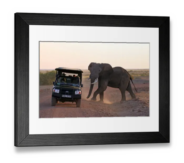 Framed Print : Africa, Kenya, Amboseli. Elephant and Jeep at Amboseli Framed Print : Africa, Kenya, Amboseli. Elephant and Jeep at Amboseli