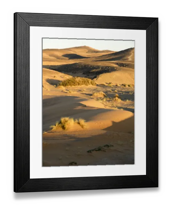 Framed Print : Tree in desert, Erg Chebbi, Morocco Framed Print : Tree in desert, Erg Chebbi, Morocco