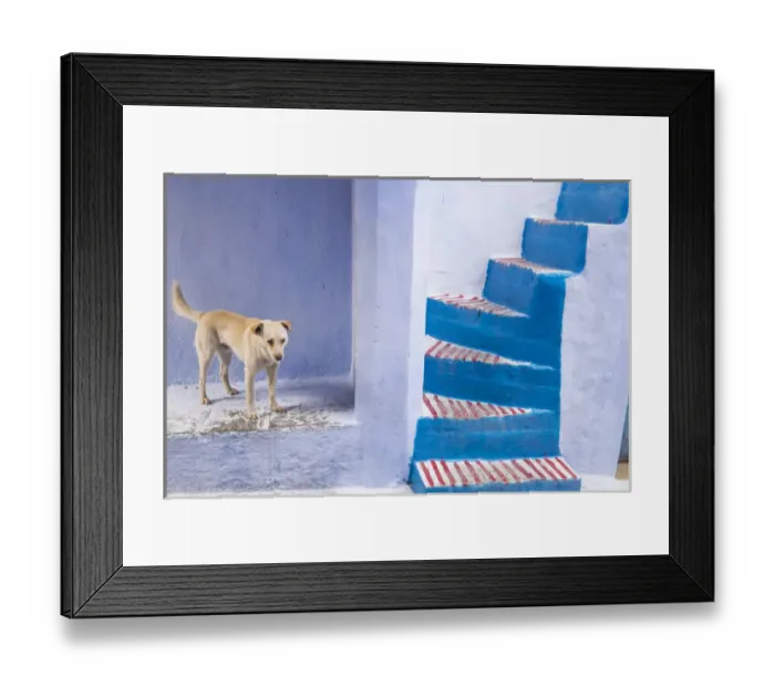 Framed Print : Africa, North Africa, Morocco, Chefchaouen or Chaouen is the chief town of the province Framed Print : Africa, North Africa, Morocco, Chefchaouen or Chaouen is the chief town of the province