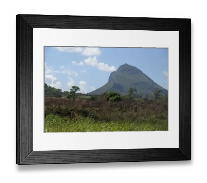 Framed Print : Island of Mauritius. Rugged volcanic countryside with typical sugar cane fields Framed Print : Island of Mauritius. Rugged volcanic countryside with typical sugar cane fields