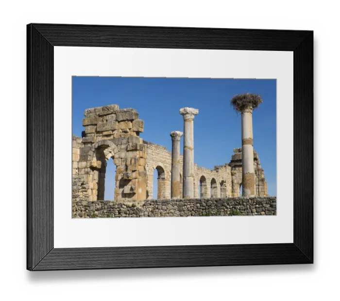 Framed Print : Africa, Morocco, Volubilis. AN archeological site of Roman ruins Framed Print : Africa, Morocco, Volubilis. AN archeological site of Roman ruins