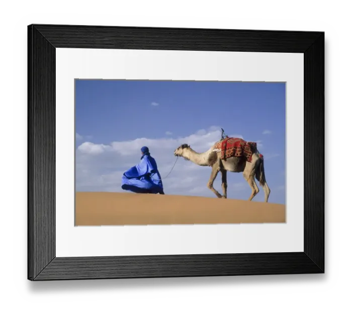 Framed Print : Africa, Morocco, Tinfou (near Zagora) Man in traditional dress leading camel on sand dunes Framed Print : Africa, Morocco, Tinfou (near Zagora) Man in traditional dress leading camel on sand dunes