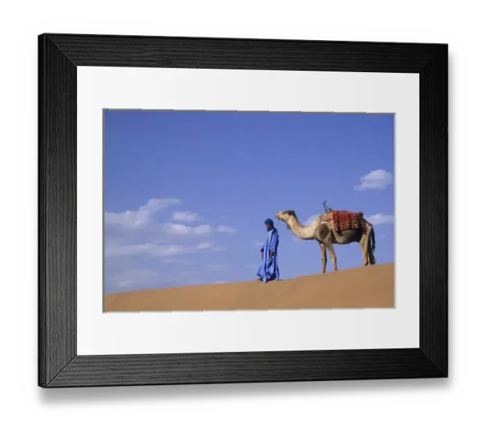 Framed Print : Africa, Morocco, Tinfou (near Zagora) Man in traditional dress leading camel on sand dunes Framed Print : Africa, Morocco, Tinfou (near Zagora) Man in traditional dress leading camel on sand dunes