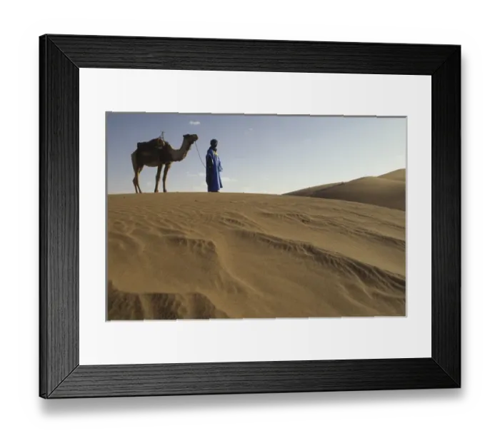Framed Print : Africa, Morocco, Tinfou (near Zagora) Man in traditional dress leading camel on sand dunes Framed Print : Africa, Morocco, Tinfou (near Zagora) Man in traditional dress leading camel on sand dunes