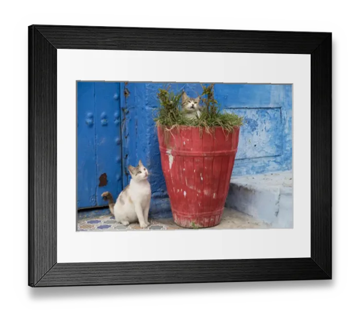 Framed Print : Africa, North Africa, Morocco, Rabat, Sale, Kasbah des Oudaias, small narrow streets Framed Print : Africa, North Africa, Morocco, Rabat, Sale, Kasbah des Oudaias, small narrow streets