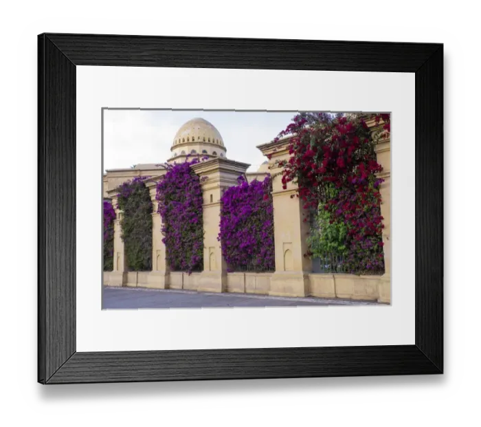 Framed Print : North Africa, Morocco, Marrakech, Royal Opera House. Bougainvillea glabra in purple Framed Print : North Africa, Morocco, Marrakech, Royal Opera House. Bougainvillea glabra in purple