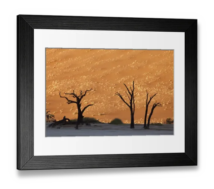 Framed Print : Africa, Namibia, Namib-Naukluft Park, Sossusvlei. Dead trees contrast with sand dune at Dead Vlei