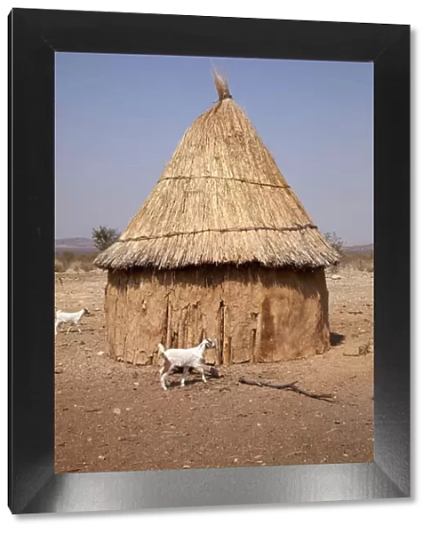 Africa, Namibia, Opuwo. Goats and hut in a Himba village