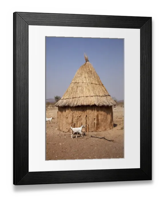 Framed Print : Africa, Namibia, Opuwo. Goats and hut in a Himba village Framed Print : Africa, Namibia, Opuwo. Goats and hut in a Himba village