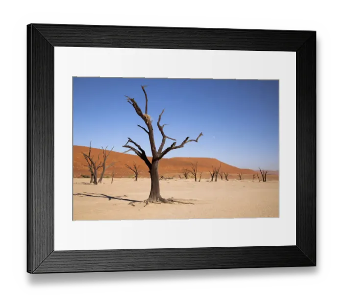 Framed Print : Africa, Namibia, Namib-Naukluft Park, Sossusvlei. Moon and tree with nest at Dead Vlei Framed Print : Africa, Namibia, Namib-Naukluft Park, Sossusvlei. Moon and tree with nest at Dead Vlei