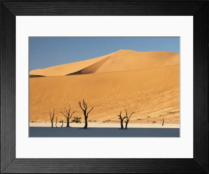 Framed Print : Africa, Namibia, Namib Desert, Sossusvlei, Namib-Naukluft Park. Sunrise on dead trees Framed Print : Africa, Namibia, Namib Desert, Sossusvlei, Namib-Naukluft Park. Sunrise on dead trees