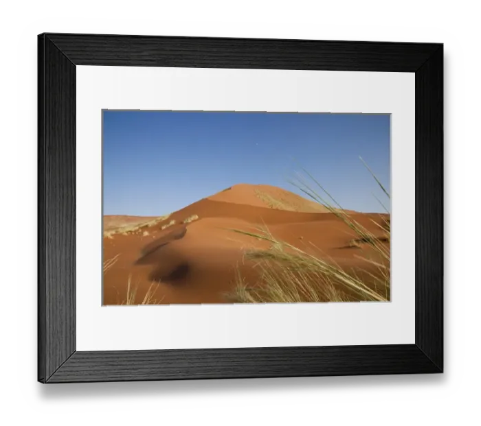 Framed Print : Africa, Namibia, Namib Desert, Namib Naukluft Park. Grasses, dune, and setting moon