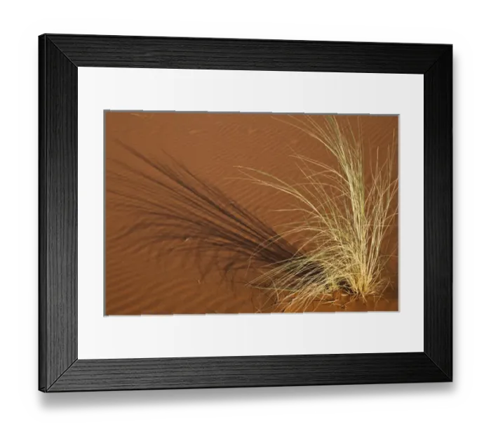 Framed Print : Africa, Namibia, Namib Desert, Namib Naukluft Park. Tuft of grass forms shadow on sand