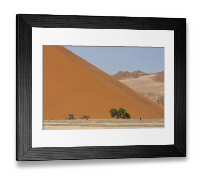 Framed Print : Africa, Namibia, Namib Desert, Namib Naukluft Park. Large dune with trees in front Framed Print : Africa, Namibia, Namib Desert, Namib Naukluft Park. Large dune with trees in front