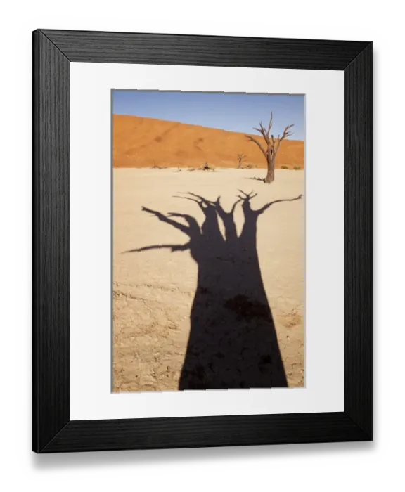 Framed Print : Africa, Namibia, Namib-Naukluft Park, Sossusvlei. Dead tree casts shadow on dry lakebed