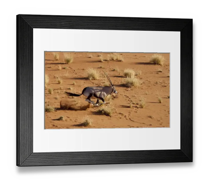 Framed Print : Africa, Namibia, Namib-Naukluft Park, Sossusvlei. Aerial view of frightened running oryx