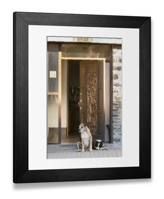 Framed Print : Africa, Namibia. Dogs at door entrance. Credit as: Wendy Kaveney  /  Jaynes Gallery  /  DanitaDelimont