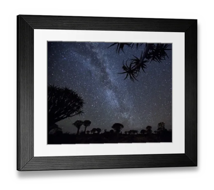 Framed Print : Africa, Namibia. Milky Way and quiver trees at night Framed Print : Africa, Namibia. Milky Way and quiver trees at night
