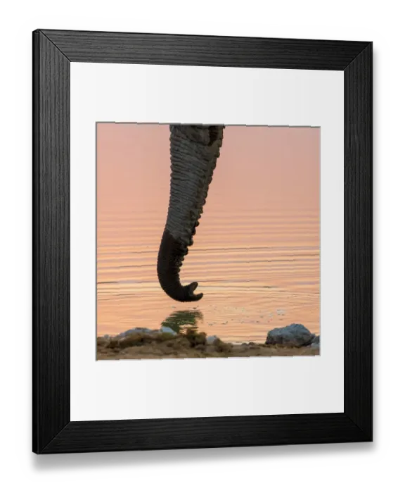 Framed Print : Africa, Namibia, Etosha National Park. Drinking elephant at sunset