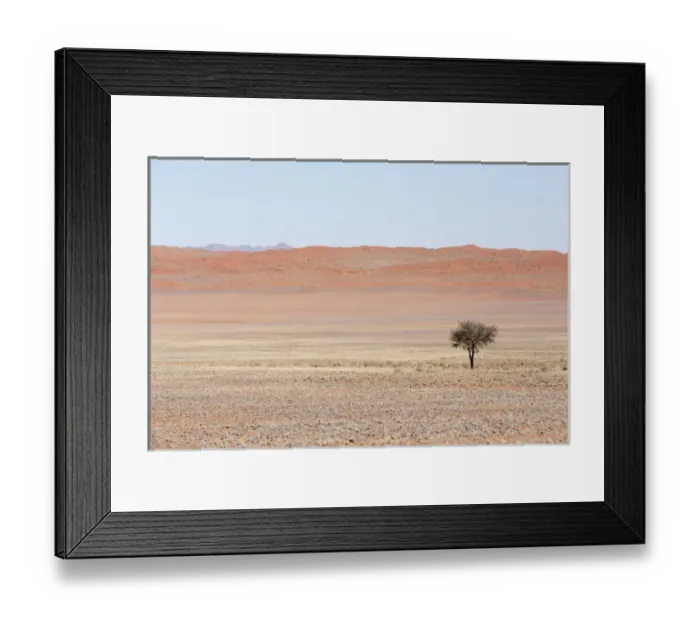 Framed Print : Africa, Namibia, Namib Desert. Lone tree in orange desert landscape Framed Print : Africa, Namibia, Namib Desert. Lone tree in orange desert landscape