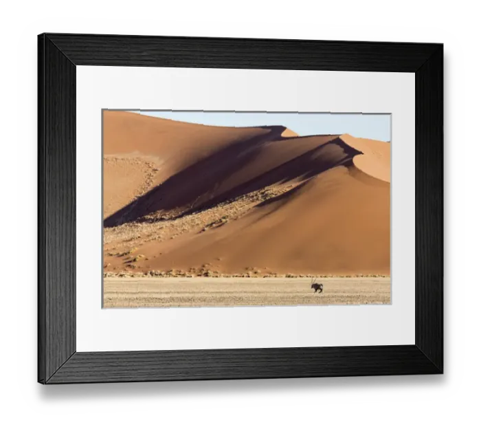 Framed Print : Africa, Namibia, Namib-Naukluft Park. Side-lit sand dunes and oryx Framed Print : Africa, Namibia, Namib-Naukluft Park. Side-lit sand dunes and oryx