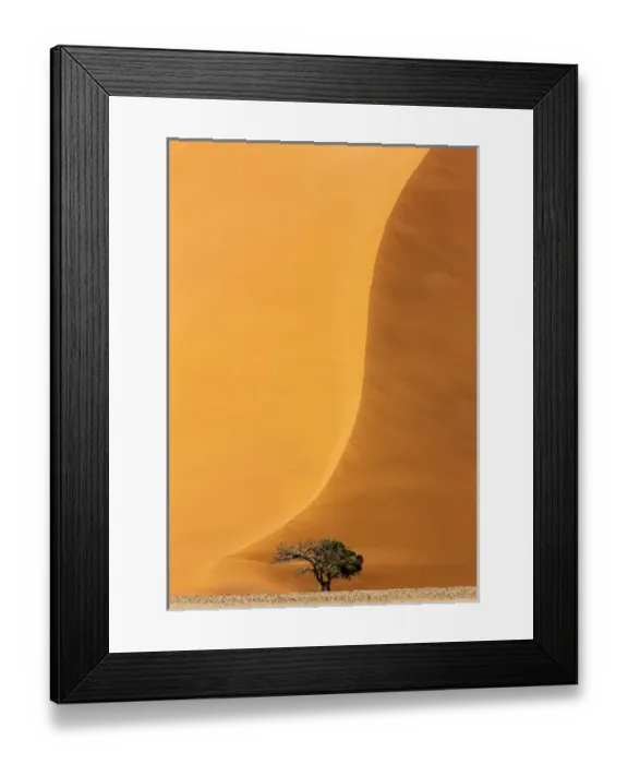 Framed Print : Africa, Namibia, Namib-Naukluft Park. Sand dune and tree