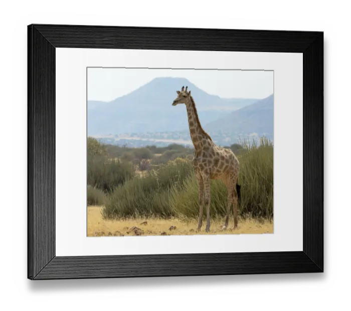 Framed Print : Africa, Namibia, Damaraland, Palwag Concession
