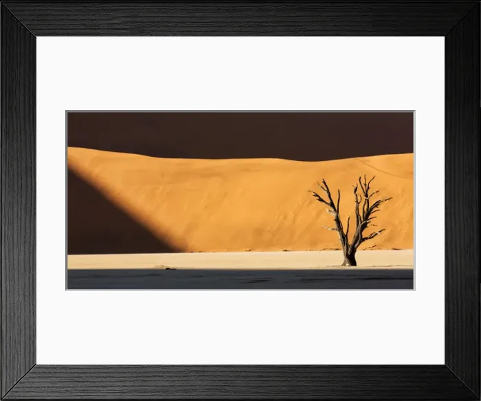Framed Print : Africa, Namibia, Namib-Naukluft Park, Dead Vlei. A dead tree illuminated by a shaft of sunlight