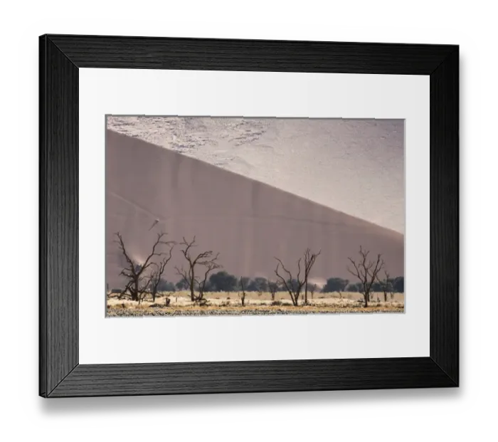 Framed Print : Africa, Namibia, Namib-Naukluft Park. Sand dunes and skeleton trees