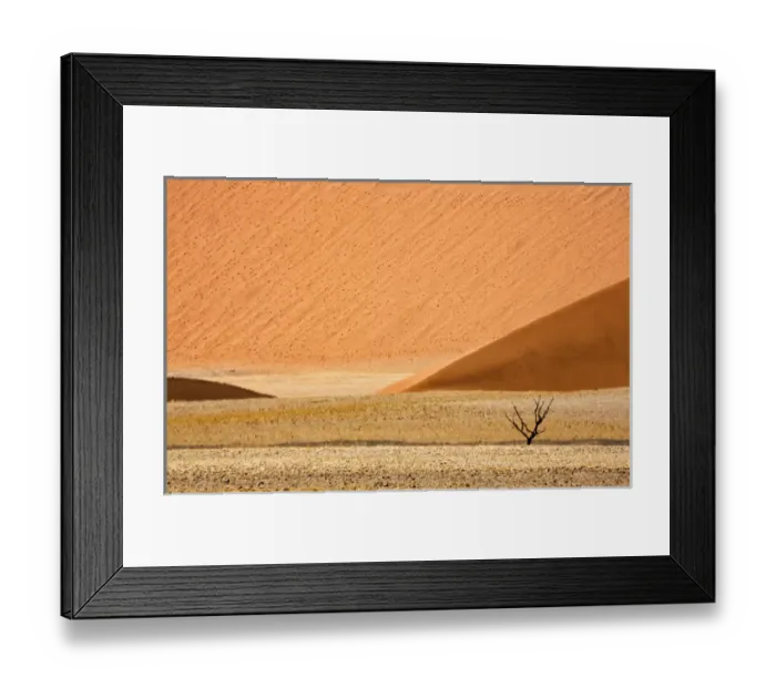 Framed Print : Africa, Namibia, Namib-Naukluft Park. Sand dunes and lone dead tree Framed Print : Africa, Namibia, Namib-Naukluft Park. Sand dunes and lone dead tree