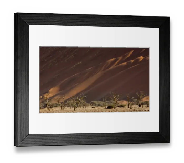 Framed Print : Africa, Namibia, Namib-Naukluft Park. Sand dunes and skeleton trees