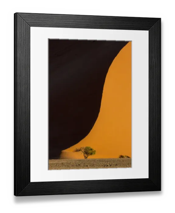Framed Print : Africa, Namibia, Namib-Naukluft Park. Side-lit sand dune and tree Framed Print : Africa, Namibia, Namib-Naukluft Park. Side-lit sand dune and tree