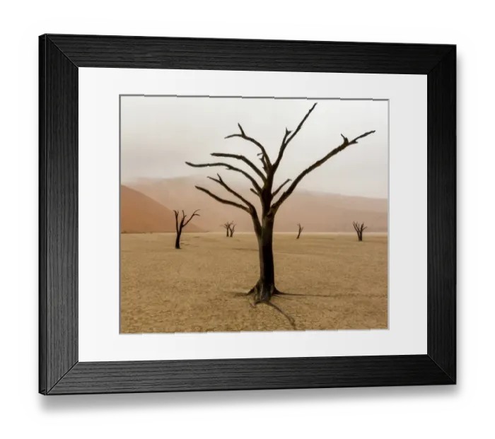 Framed Print : Africa, Namibia, Namib-Naukluft Park, Deadvlei. Unusual rainy weather in early morning