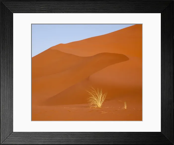 Framed Print : Africa, Namibia, Namib-Naukluft Park. Bushmans grass and red sand dune. Credit as