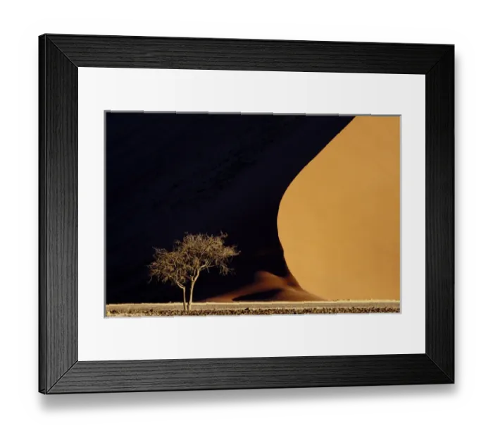Framed Print : Africa, Namibia, Namib-Naukluft Park. Red sand dunes contrast and tree. Credit as