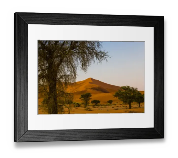 Framed Print : Africa, Namibia, Namib-Naukluft National Park